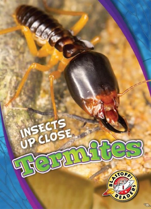 Termites