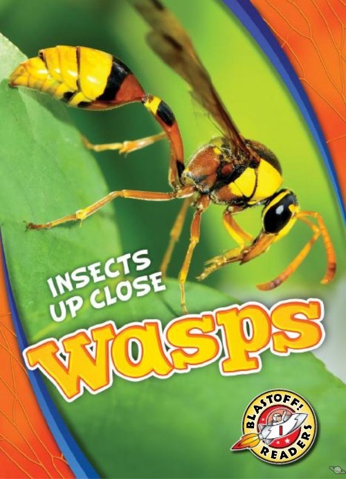 Wasps