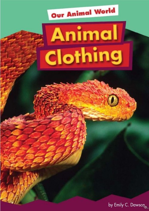 Animal Clothing