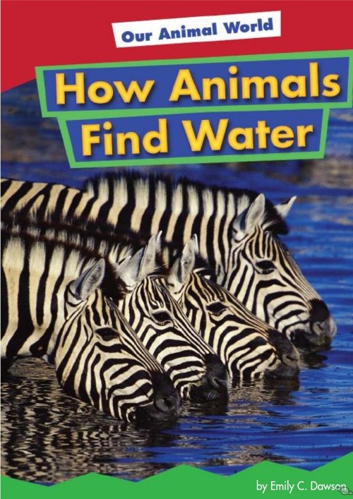 How Animals Find Water