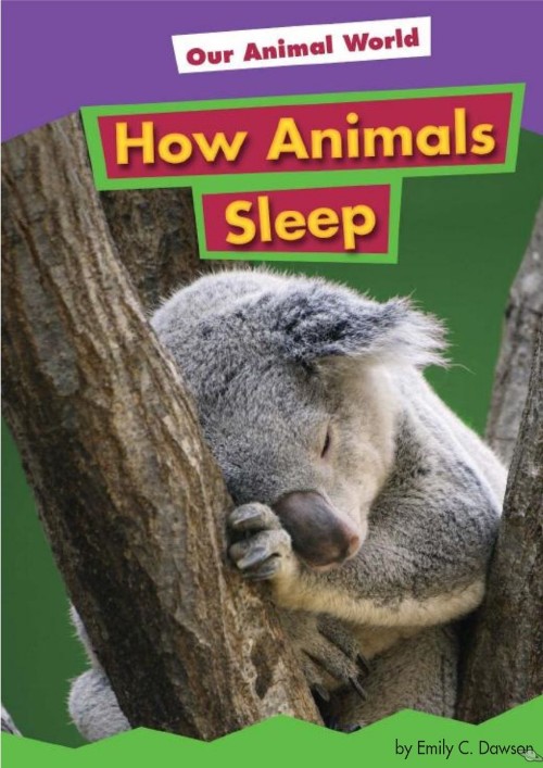 How Animals Sleep