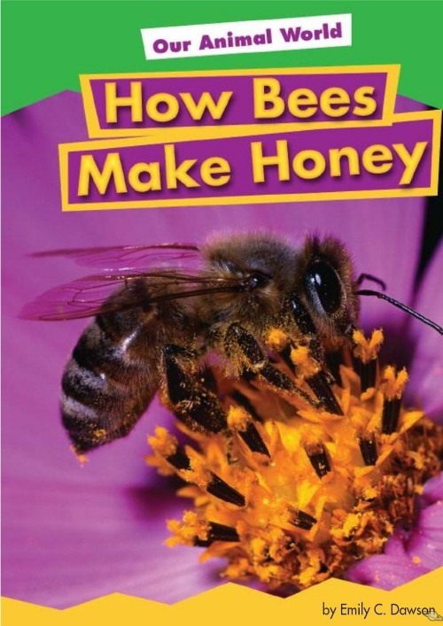 How Bees Make Honey