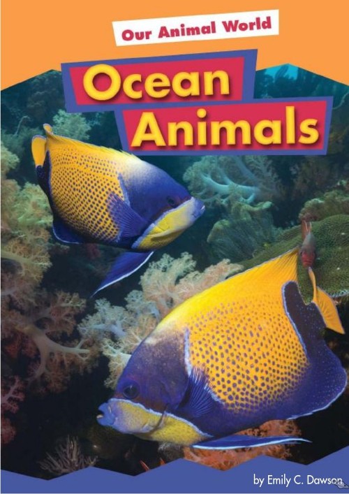 Ocean Animals