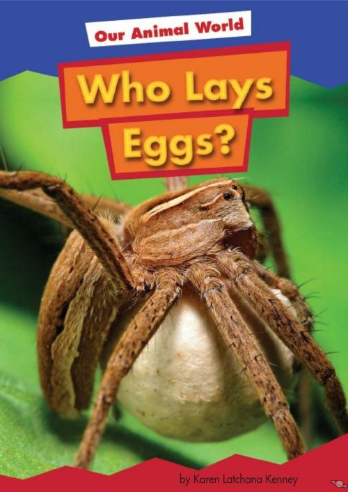 Who Lays Eggs