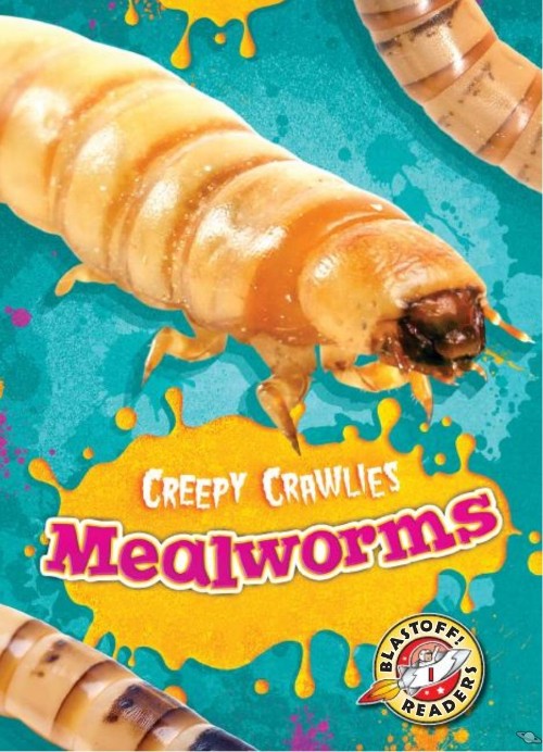 Mealworms