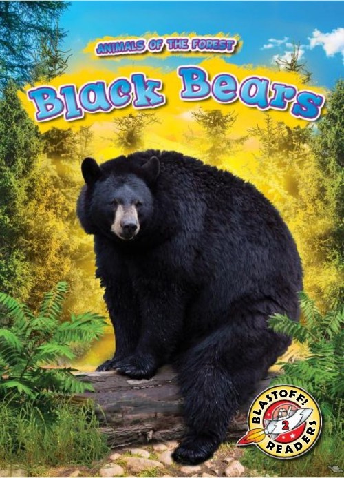 Black Bears