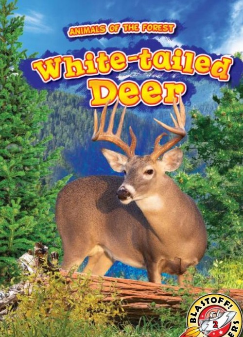 White-tailed Deer