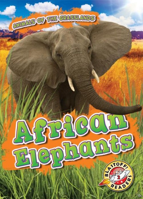 African Elephants