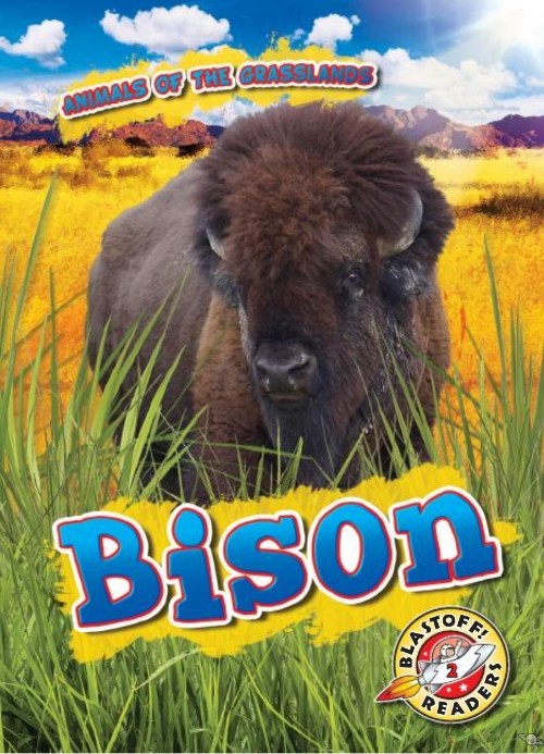 Bison