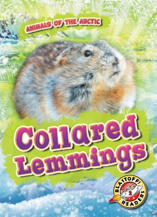 Collared Lemmings