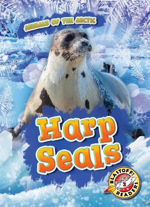 Harp Seals