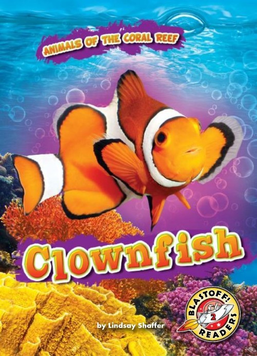 Clownfish