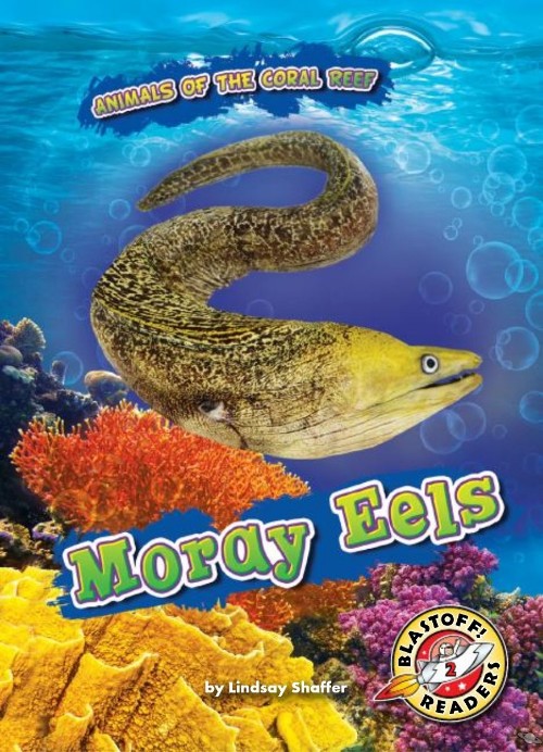 Moray Eels