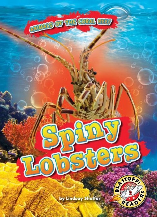 Spiny Lobsters