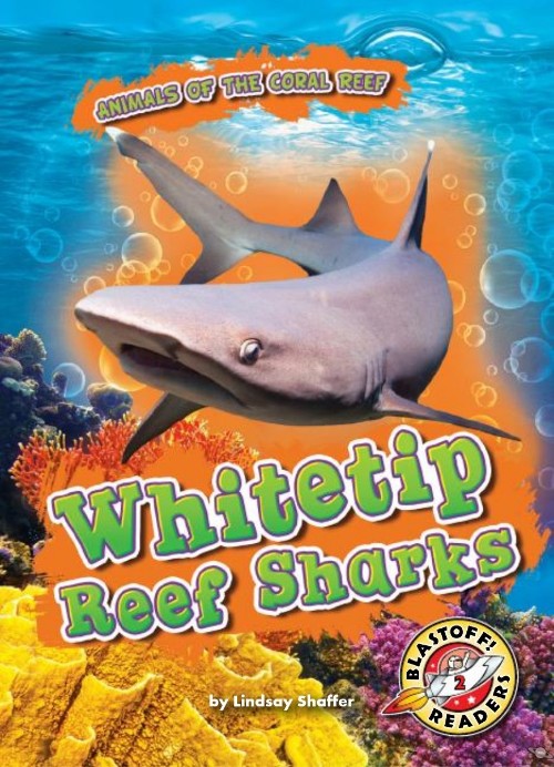 Whitetip Reef Sharks