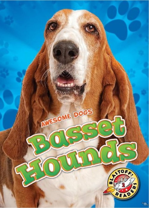 Basset Hounds