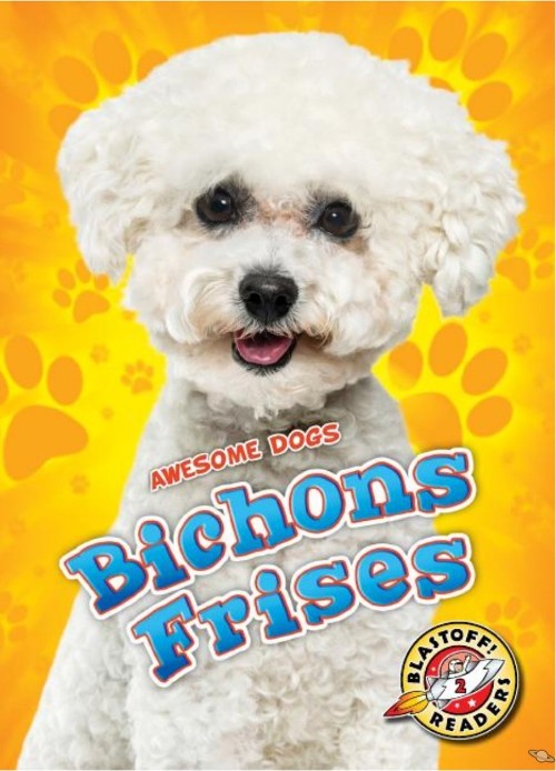 Bichons Frises