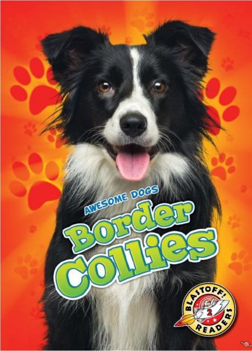 Border Collies