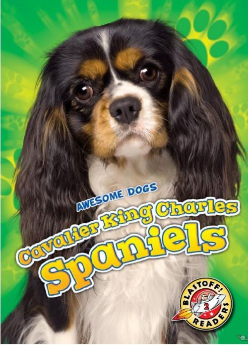 Cavalier King Charles Spaniels