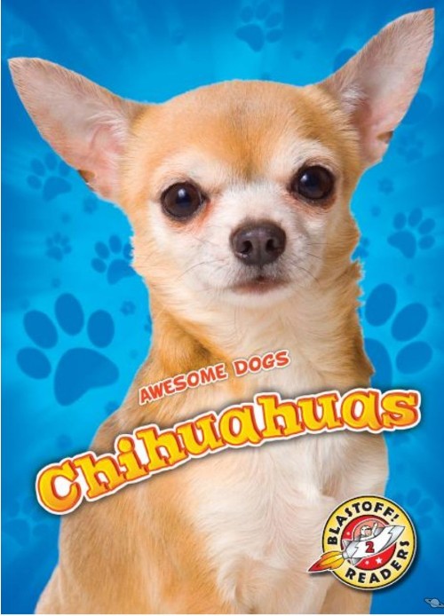 Chihuahuas