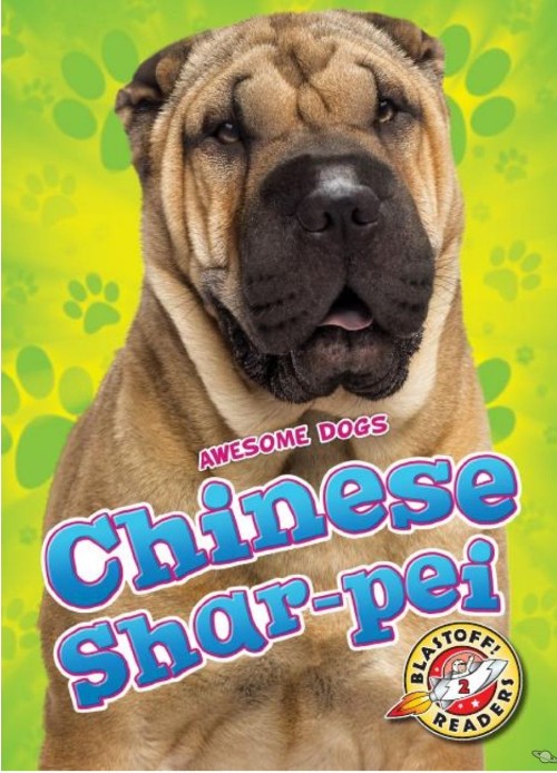 Chinese Shar-peis