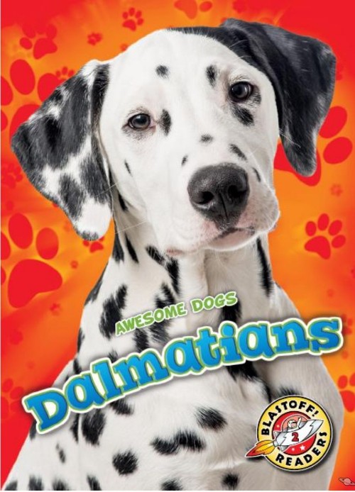 Dalmatians