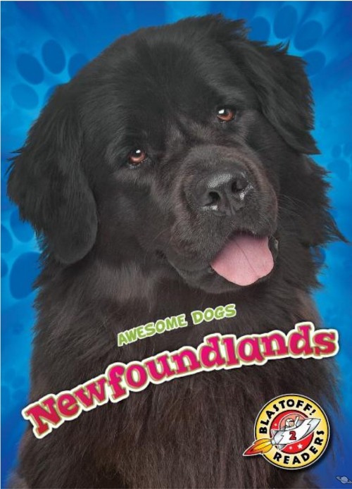 Newfoundlands