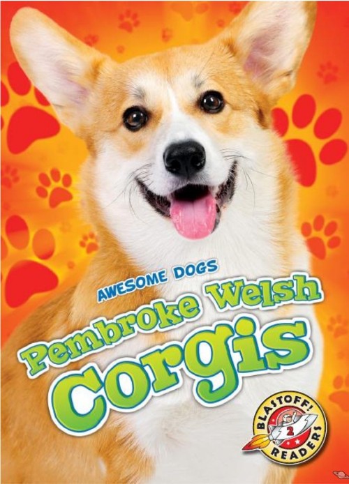 Pembroke Welsh Corgis