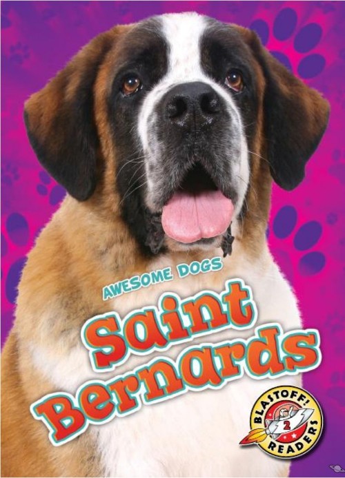 Saint Bernards