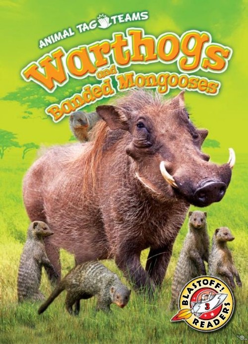 Warthogs and Banded Mongooses