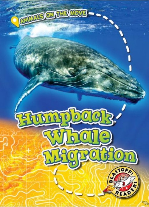 Humpback whale Migration