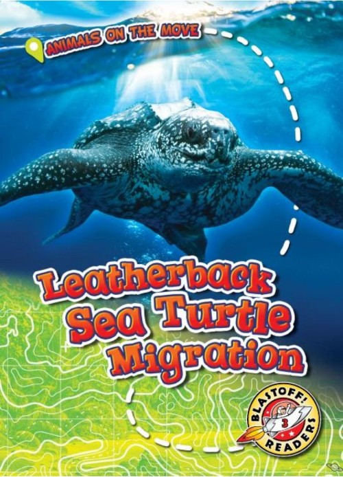 Leatherback Sea Turtle Migration