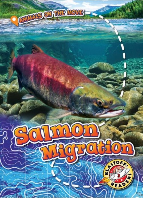 Salmon Migration