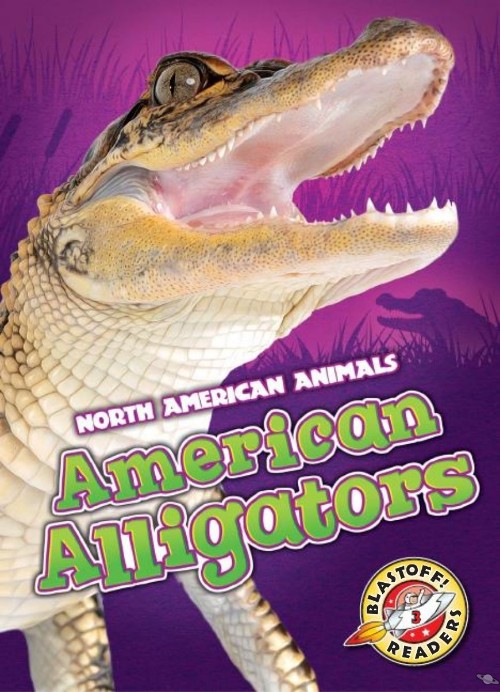 American Alligators