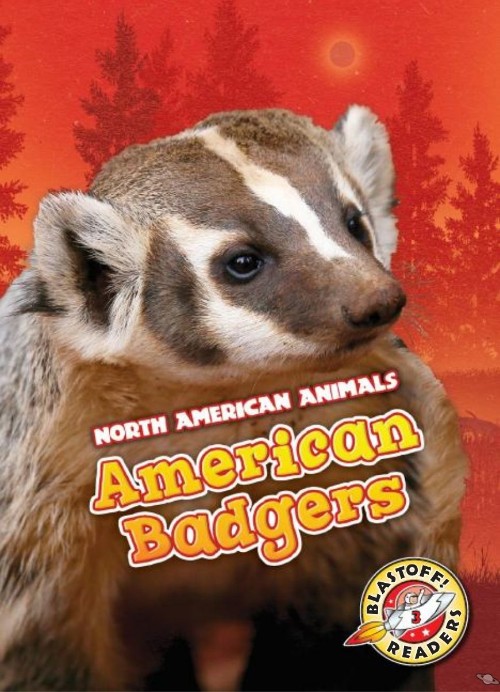 American Badgers