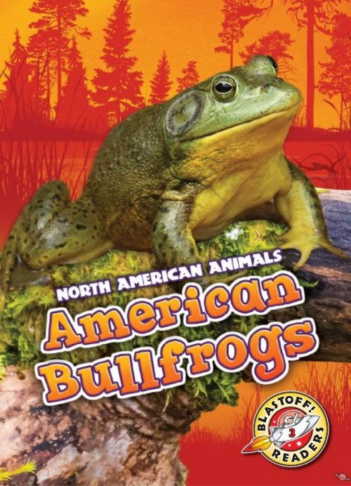 American Bullfrogs