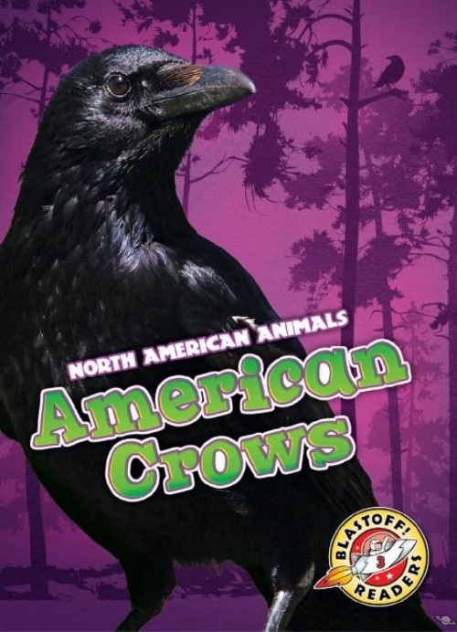 American Crows