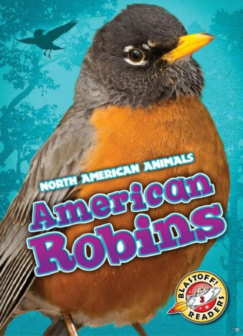 American robins