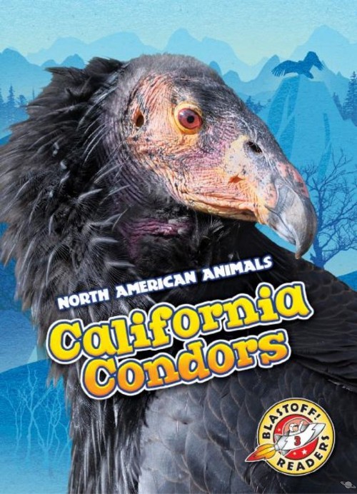 California Condors