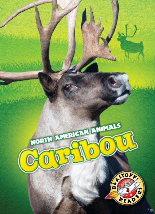 Caribou