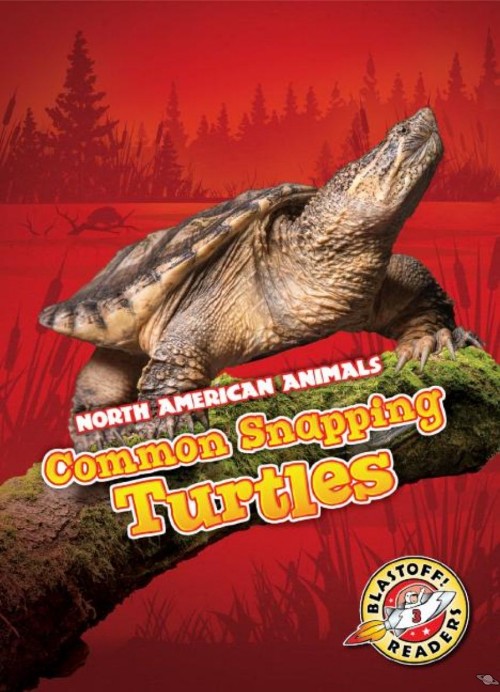 Common Snapping Turtles