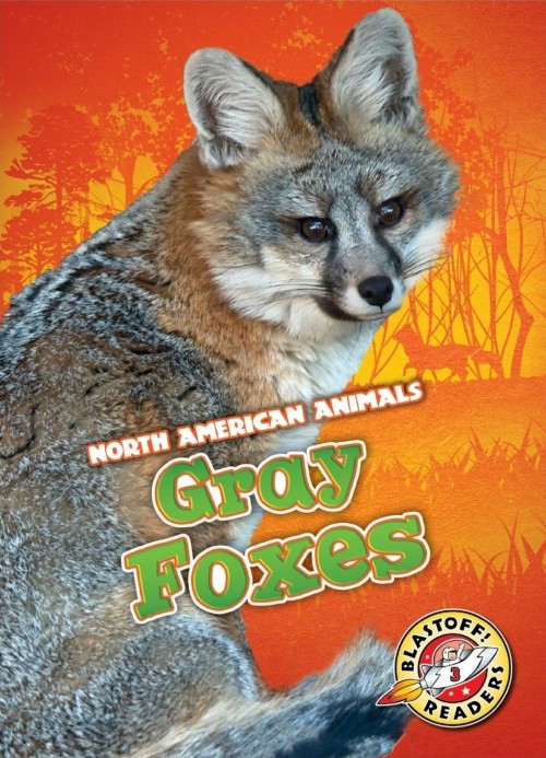 Gray Foxes