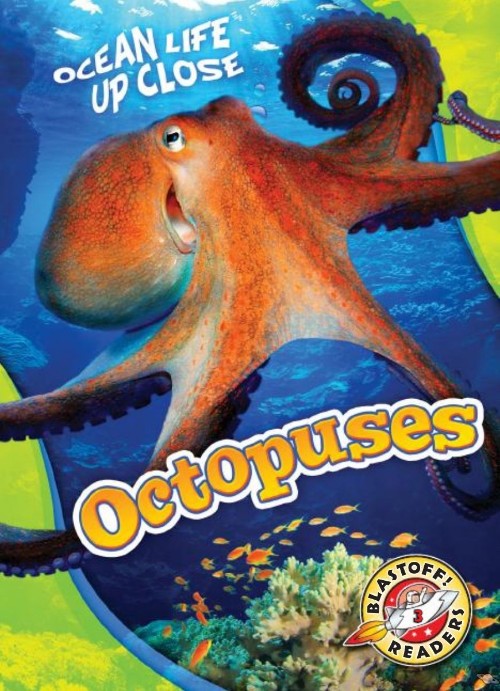 Octopuses