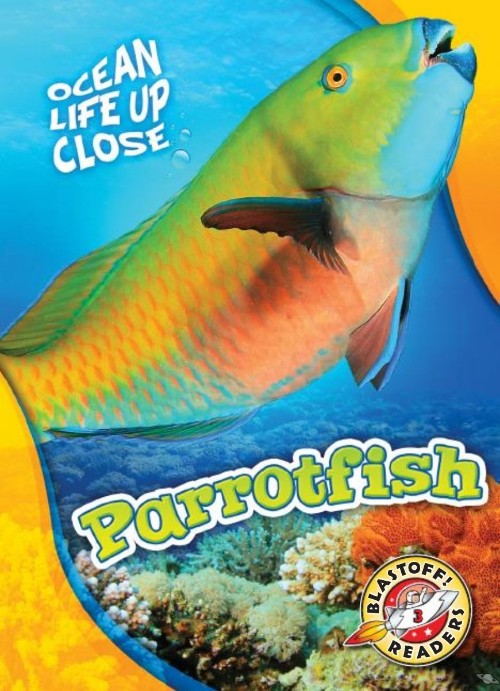 Parrotfish