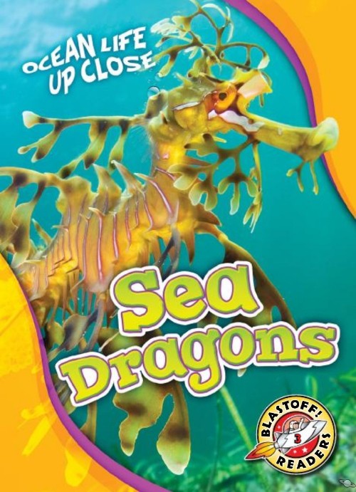 Sea Dragons