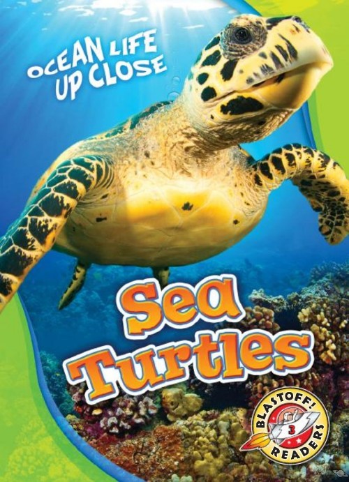 Sea Turtles