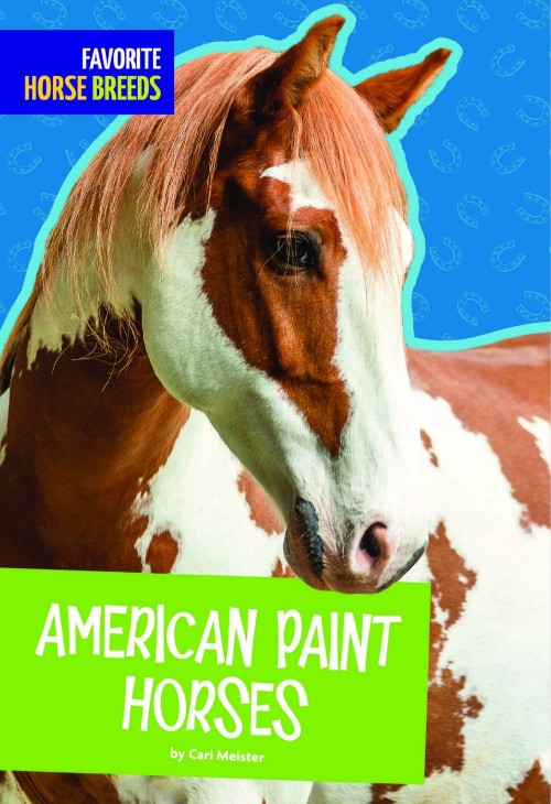 American Paint Horses