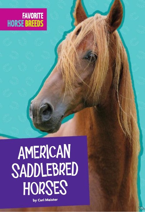 American Saddlebred Horses