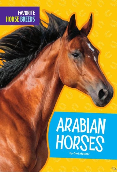 Arabian Horses