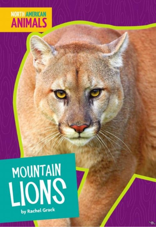 Mountain Lions